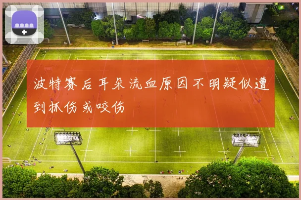 波特赛后耳朵流血原因不明疑似遭到抓伤或咬伤